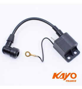 Bobine allumage mini cross 9cv