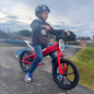 Draisienne électrique pour enfant 36V 350W DX 16 ROUGE Draisienne électrique pour enfant 36V 350W DX 16 ROUGE