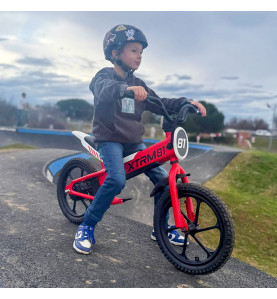 Draisienne Électrique 16" pour Enfant - Moteur 350W, Batterie Lithium