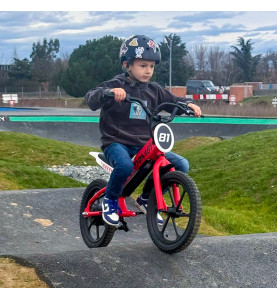 Draisienne Électrique 16" pour Enfant - Moteur 350W, Batterie Lithium