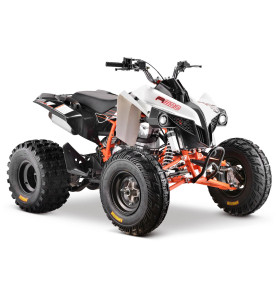 Quad 200cc puissant & pas cher sur EURO IMPORT MOTO