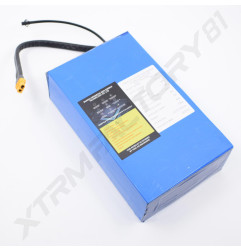 BATTERIE LITHIUM 48V 13AH DYNOSTAR