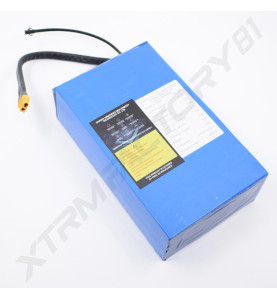 BATTERIE LITHIUM 48V 13AH DYNOSTAR