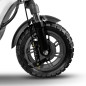 Trottinette électrique 600W - XT81