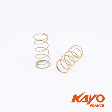 RESSORTS ETRIER FREIN AR KAYO AU200