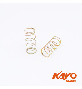 RESSORTS ETRIER FREIN AR KAYO AU200