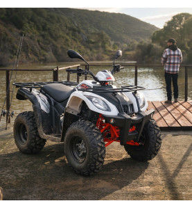 Quad 200cc homologué pas cher ! Robuste et pratique - EuroImportMoto