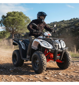 Quad 200cc homologué pas cher ! Robuste et pratique - EuroImportMoto