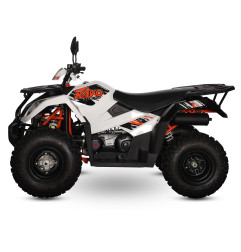 KAYO AU300 : Quad 300cc Polyvalent pour Travail et Loisirs