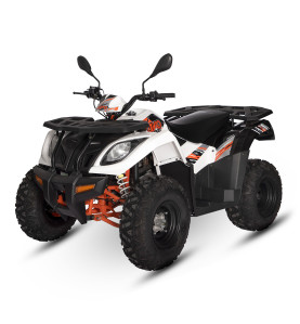 KAYO AU300 : Quad 300cc Polyvalent pour Travail et Loisirs