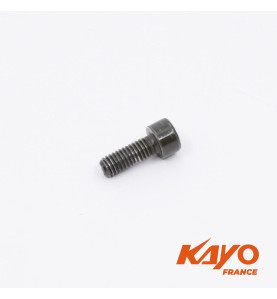 VIS BTR M6*15 PIED DE FOURCHE K2