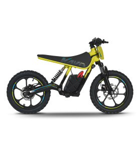 Draisienne électrique enfant KAYO EKB 700W – Dès 5 ans