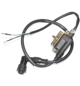 Bobine haute tension buggy 110cc