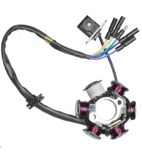 Stator allumage Kayo tous modèles