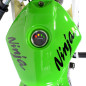 Pocket Piste GP enfant électrique 350W Pocket Piste GP enfant électrique 350W