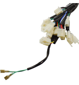 Faisceau électrique EGL 50
