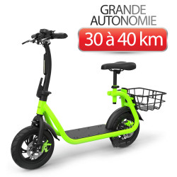 Draisienne électrique adulte 10 Ah - BEACH