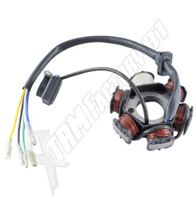 Stator dirt MX 6 bobines 5 fils