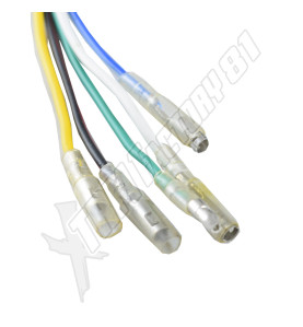 Stator dirt MX 6 bobines 5 fils
