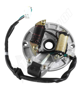 Stator 2 bobines fiches male