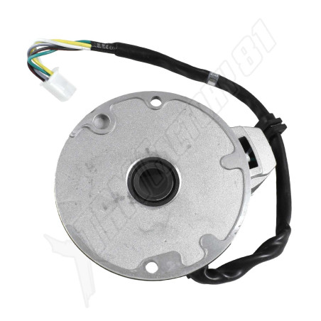 Stator 2 bobines fiches male