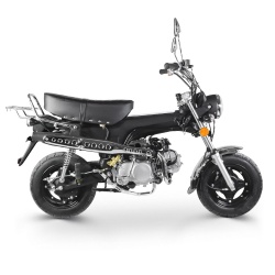 Moto 50cc, 125cc homologuées  Dax 50cc 4 temps