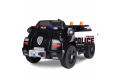 Mini camion police