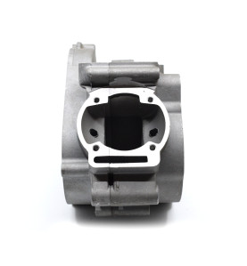 CARTERS MOTEUR M50 3.5CV