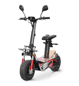 Trottinette électrique homologuée route 2000W