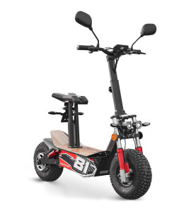 Trottinette électrique homologuée route 2000W