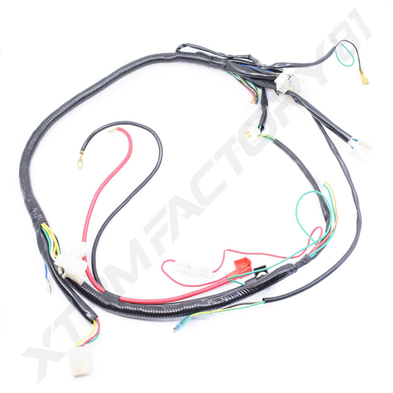 Faisceau quad modèle B Faisceau quad modèle B