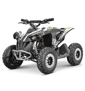 Quad électrique CANADA 1060W