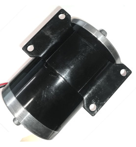 Moteur électrique 1000W 36V