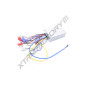 BOITIER ELECTRONIQUE POCKET QUAD BIBOU 500W/ 800W