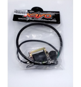 BOBINE HAUTE TENSION + ANTIPARASITE KAYO 