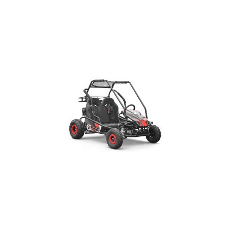 Pièces détachées pour BUGGY 212CC PANTHER