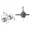 ZG / PISTON VILEBREQUIN