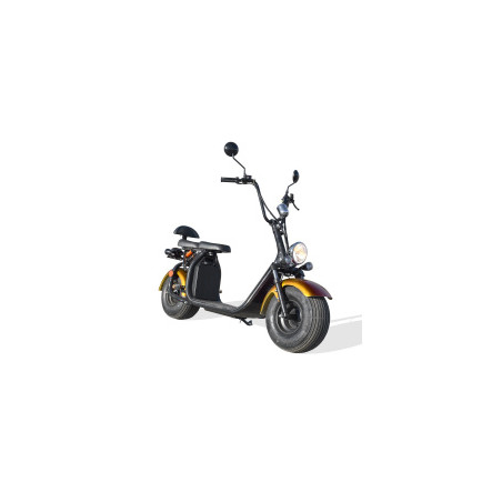 Pièces détachées pour TROTT ELEC CITYCOCO 2019/2022
