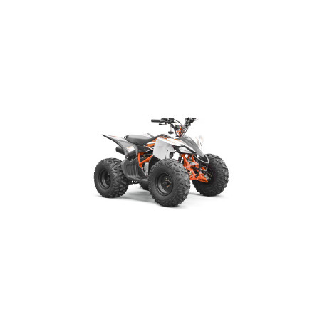 Pièces détachées pour QUAD KAYO PREDATOR 125 (AT125)