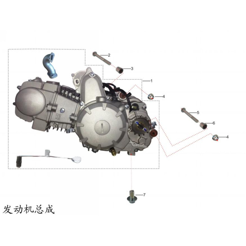 Pièces détachées - QUAD KAYO A150 - Moteur