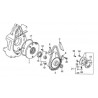 ZF / Roue de démarrage