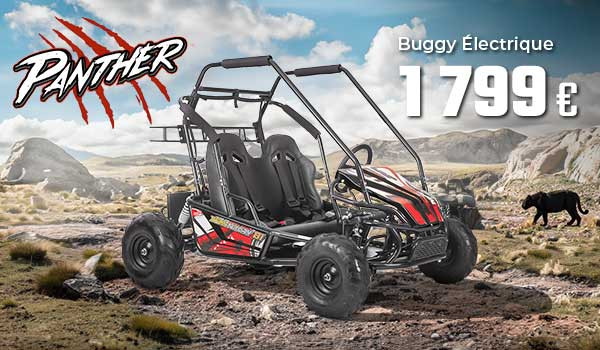 Buggy electrique Panther